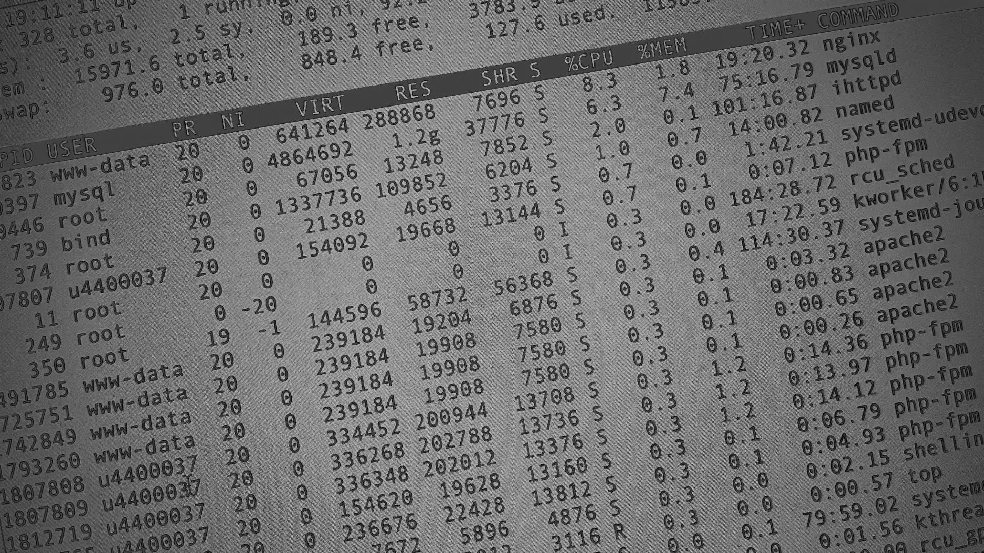 Настройка сервера в Ярославле Настройка сервера в Ярославле